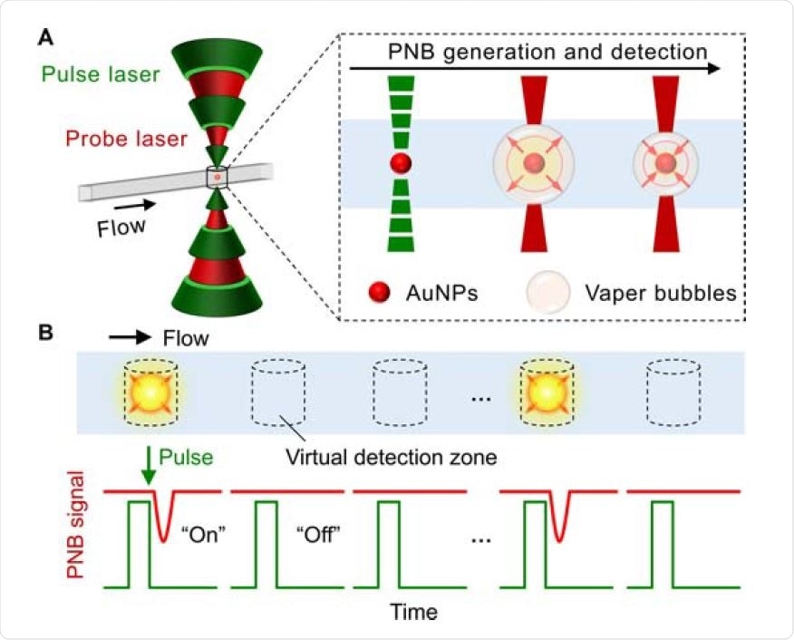 The schematics illustration for the concept of DIAMOND. (A) The spectroscopybased signal generation and detection. The gold nanoparticles (AuNPs) as labels are used for the generation of the plasmonic nanobubbles (PNBs) by short laser pulses and subsequently detected by a secondary probe laser due to the optical scattering. (B) The detection principle based on optofluidic scanning of a sample flowing through. The “on” and “off” refer to the positive and negative PNB signals representing for the presence or absence of targets.
