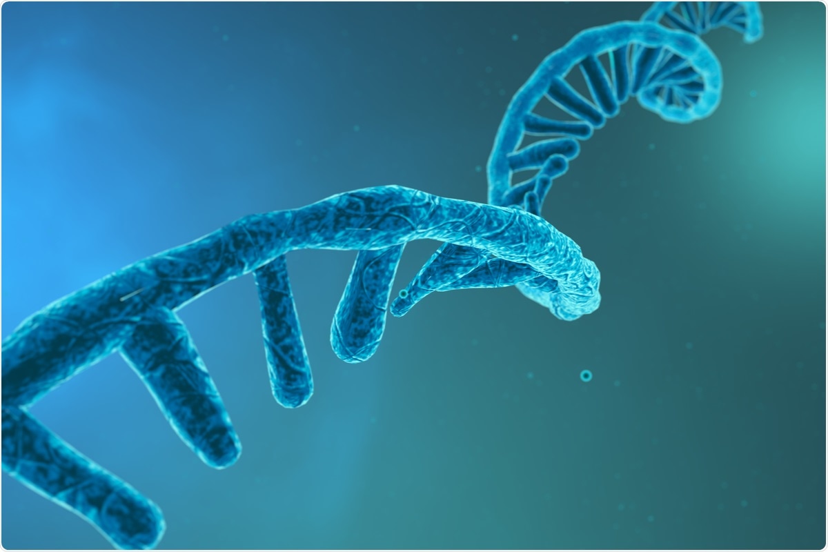 Study: Dual RNA-Seq analysis of SARS-CoV-2 correlates specific human transcriptional response pathways directly to viral expression. Image Credit: CROCOTHERY / Shutterstock