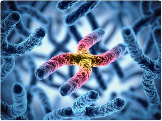 Image Credit: koya979 / Shutterstock.com