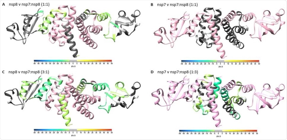 Overlay of differential HDX-MS perturbation values onto PDB:6YHU. Perturbation values for nsp7 vs nsp7:nsp8 1:1 (A), nsp8 vs nsp7:nsp8 1:1 (B), nsp7 vs nsp7:nsp8 1:3 (C), and nsp8 vs nsp7:nsp8 3:1 (D) colored according to change in percent deuterium levels shown in color bar and respective partner protein colored in pink. Residues not observed by HDX-MS are colored in white.