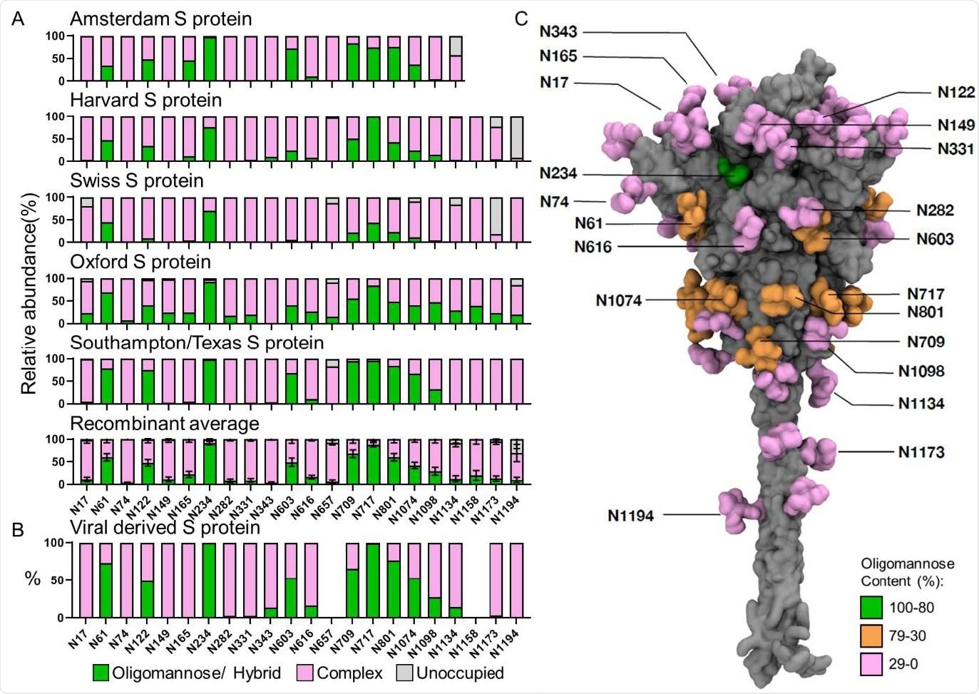 The site-specific glycosylation of recombinant and viral derived S protein from multiple laboratories. (A) Site-specific glycan analysis of recombinant S protein expressed and purified at different locations. The bar charts represent the relative proportion of glycoforms present at each site, including the proportion of PNGS that were not modified by an N-linked glycan. The proportion of oligomannose- and hybrid-type glycans are colored green. Processed complex-type glycans are colored pink and the proportion of unoccupied sites are colored grey. The institution which provided the S protein for analysis is listed above each chart. The Texas/Southampton data is reproduced from Chawla et al. (unpublished data). The average compositions of recombinant S protein were calculated using all samples. Bars represent the mean +/- standard error of the mean of all recombinant samples analyzed. (B) The viral derived site-specific analysis was obtained from data acquired by Yao et al. and categorized in the same manner as above33. Data for sites N657 and N1158 could not be obtained and are not represented. (C) Full length model displaying the site-specific oligomannose glycosylation of viral derived S protein; description of how this model was generated can be found in Materials and Methods. Both protein and glycans are shown in surface representation; the former coloured in grey and the latter coloured based on oligomannose content (green for 80-100%, orange for 30-80% and pink for 0-30%).