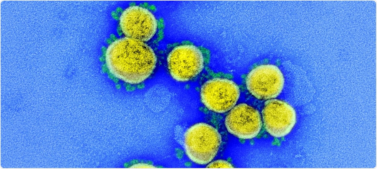 Study: Risk of mortality in patients infected with SARS-CoV-2 variant of concern 202012/1: matched cohort study. Image Credit: NIAID / Flickr