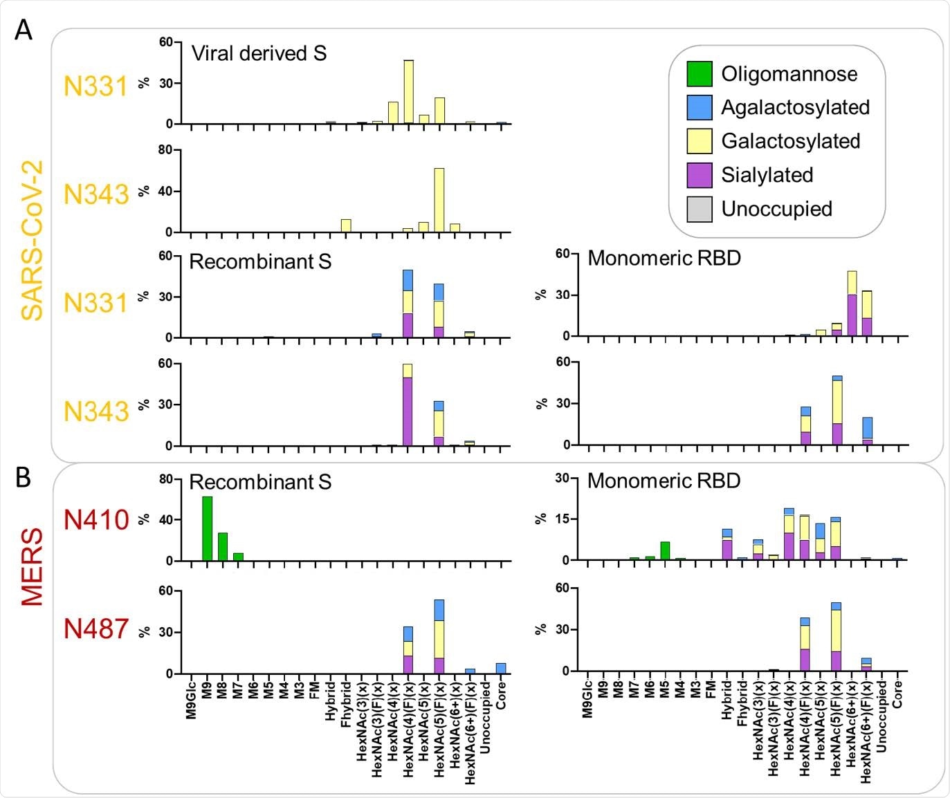 Comparative analysis of the glycosylation of the two PNGS on the RBD for viral derived S protein, recombinant S protein and monomeric RBD. (A) Detailed site-specific glycan compositions of the two sites located in the RBD of SARS-CoV-2. Recombinant S protein data is reproduced from Chawla et al. (unpublished) and data for the viral S protein RBD sites was obtained from Yao et al.33. Site-specific glycan data is presented as outlined in Figure 2. (B) Site-specific compositions for N-glycan sites located in the RBD of MERS-CoV when expressed as part of a soluble recombinant S protein compared to RBD-only. Data for the MERS-CoV S protein were obtained from a previous study