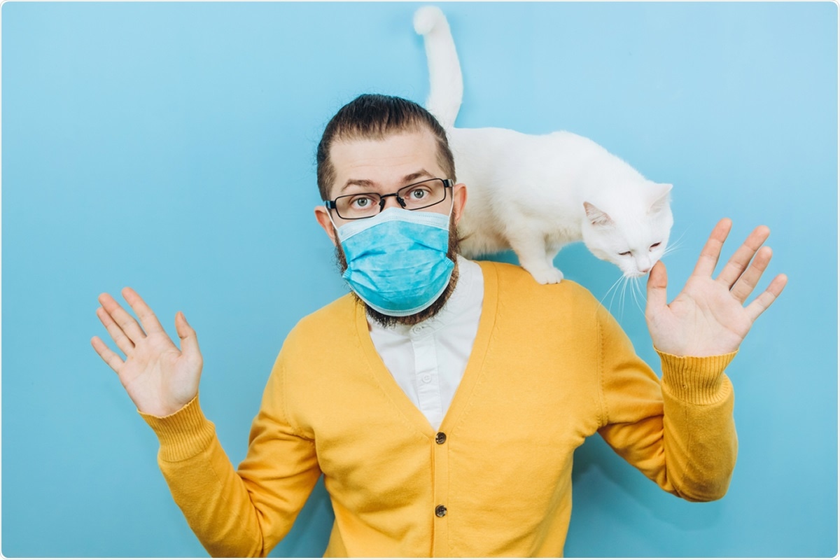 Study: New detection of SARS-CoV-2 in two cats height months after COVID-19 outbreak appearance in France. Image Credit: StaniG / Shutterstock