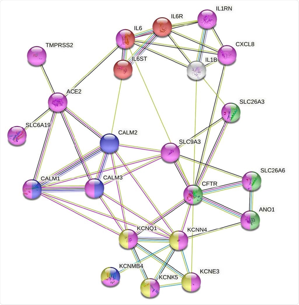Modeling the molecular mechanisms of SARS-Cov-2 induced diarrhea using a functional interactome created from a small number of proteins that are known to be modulated by the viral infection of human intestinal epithelium