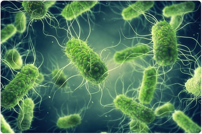 Image Credit: nobeastsofierce / Shutterstock