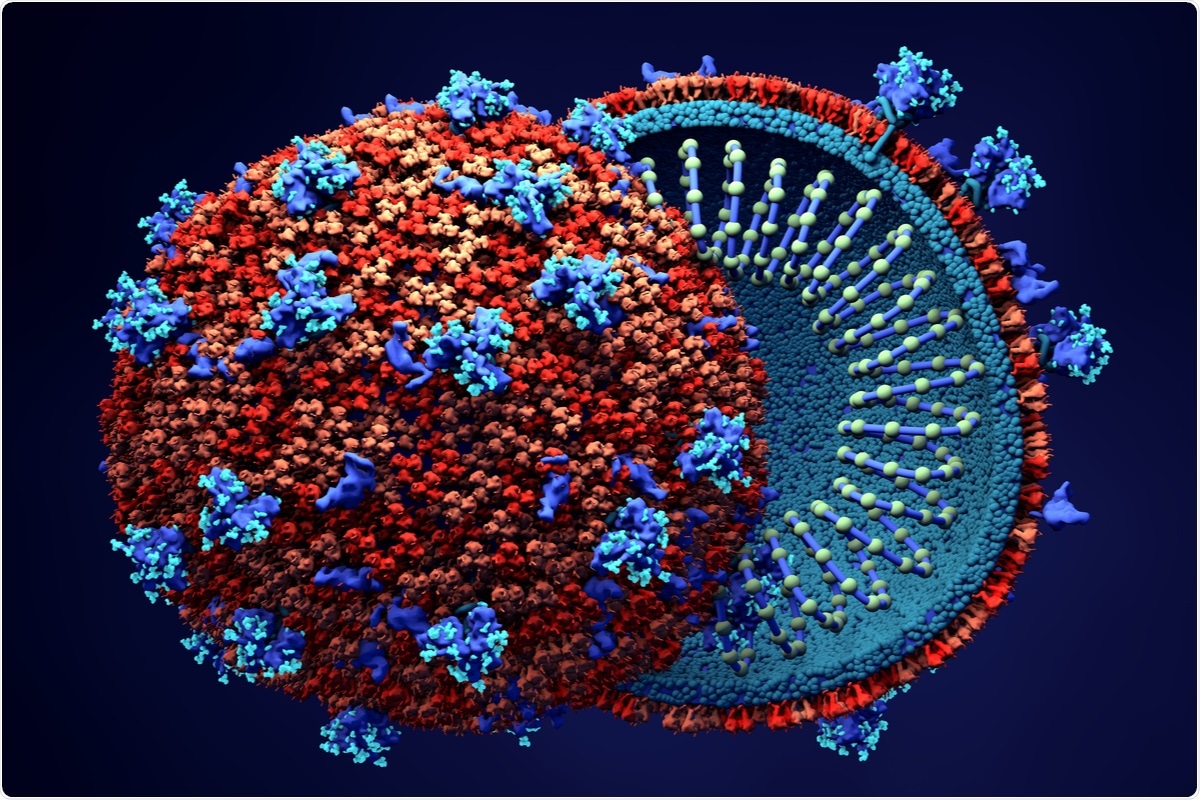 Study: Control-theoretic immune tradeoffs explain SARS-CoV-2 virulence and transmission variation. Image Credit: Design_Cells / Shutterstock