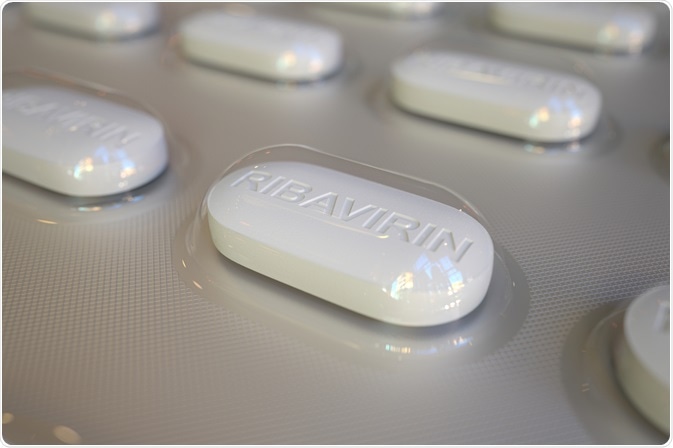 Image Credit: Novikov Aleksey / Shutterstock