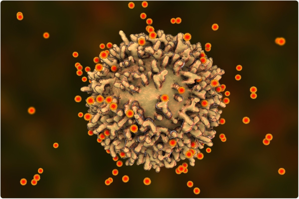 Study: CD8+ T cell responses in COVID-19 convalescent individuals target conserved epitopes from multiple prominent SARS-CoV-2 circulating variants. Image Credit: Kateryna Kon / Shutterstock