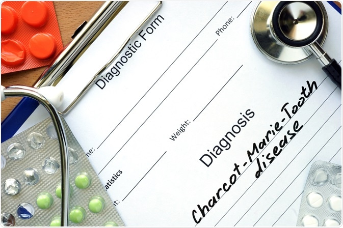 Image Credit: Vitalii Vodolazskyi / Shutterstock