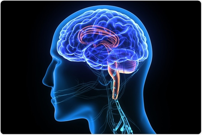 Image Credit: Life science / Shutterstock