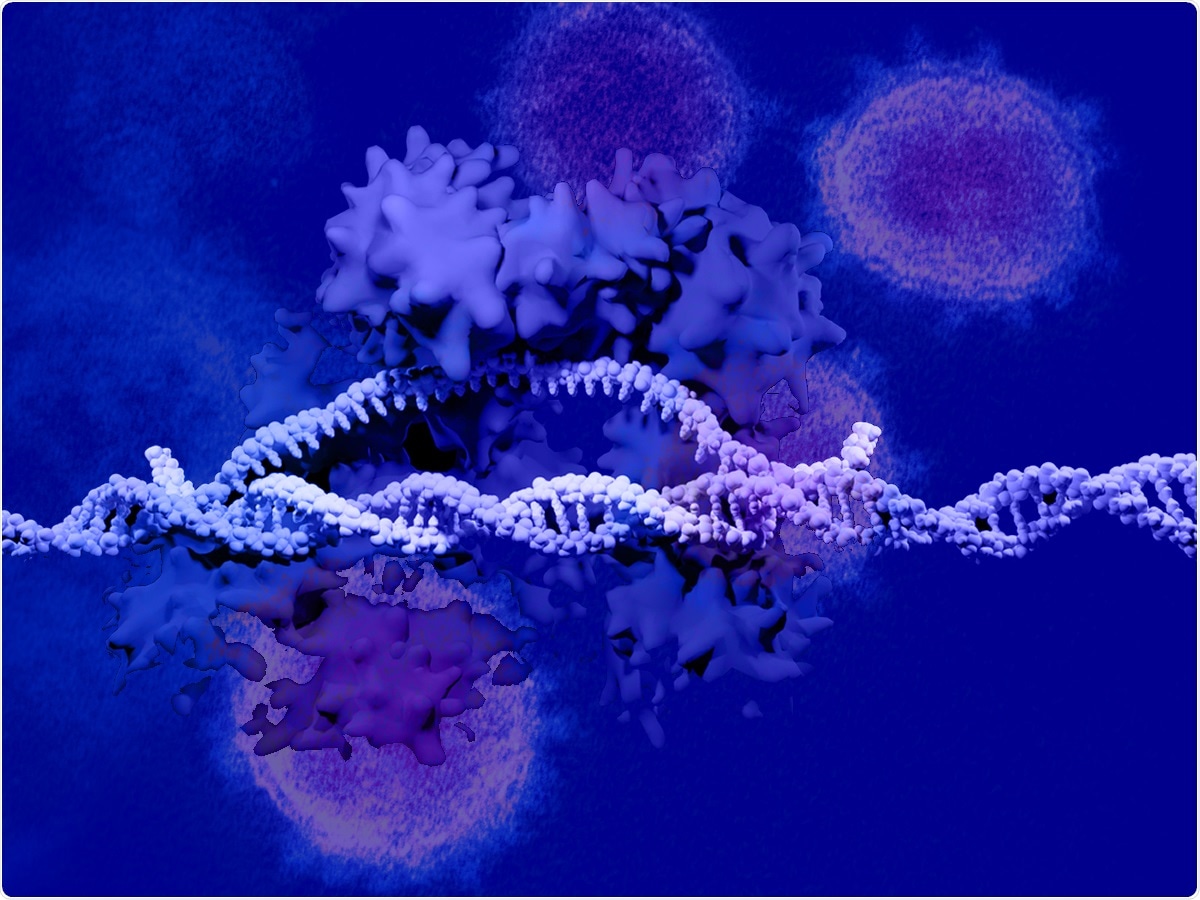 Study: Manipulation of genes could inhibit SARS-CoV-2 infection that causes COVID-19 pandemics. Image Credit: Meletios Verras /  SHutterstock and NIAID