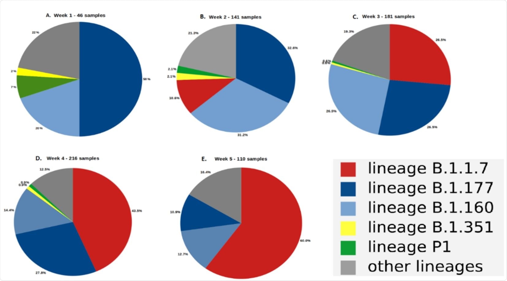 The circulating forms of SARS-CoV-2 on Toulouse urban area during January 2021 and early February. (A): week 1 (46 samples), (B): week 2 (141 samples), (C): week 3 (181 samples), (D): week 4 (216 samples), (E): week 5 (110 samples).