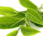 Green tea catechins might be useful as pan-coronavirus inhibitors