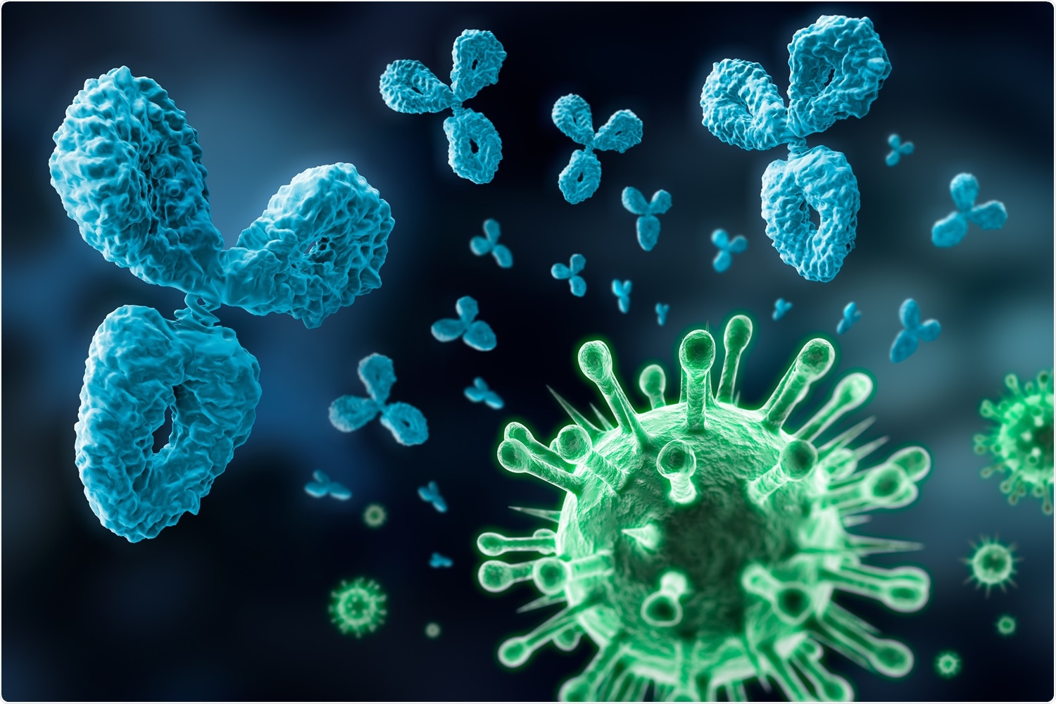 Study: Naturally acquired SARS-CoV-2 immunity persists for up to 11 months following infection. Image Credit: Peter Schreiber / Shutterstock