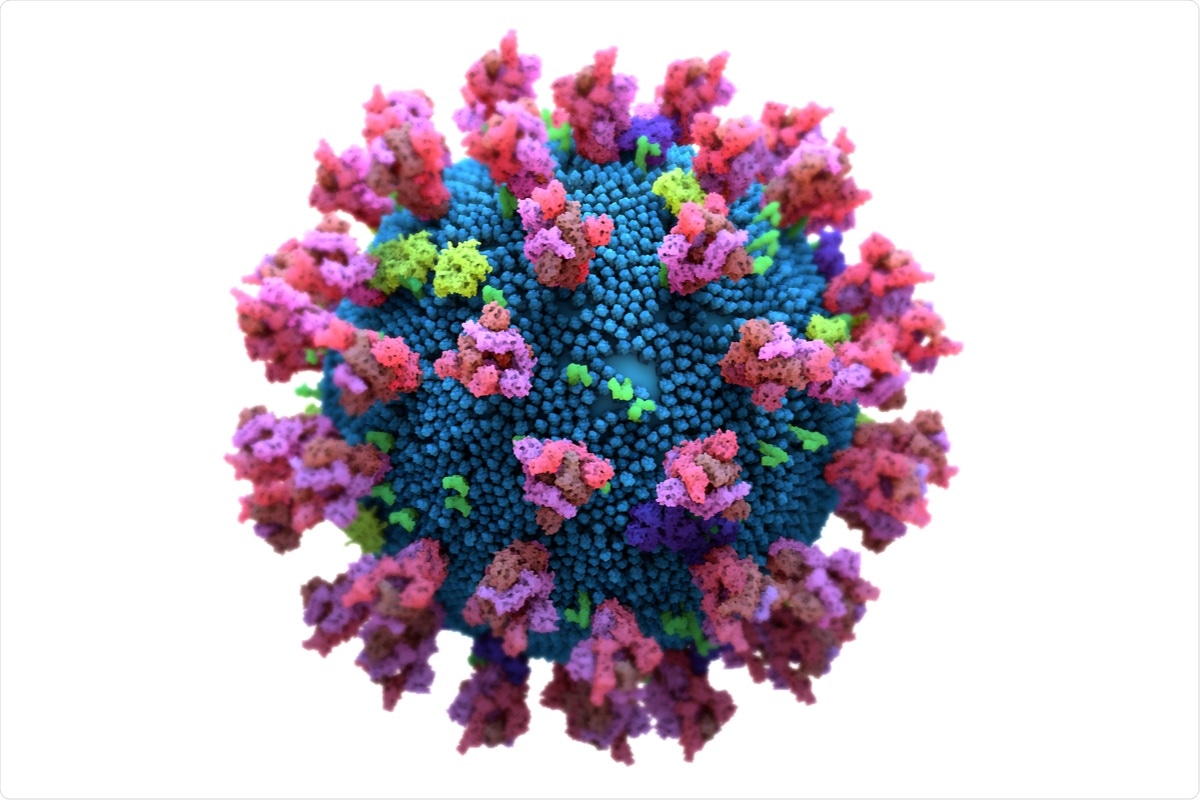 Study: Longitudinal immune dynamics of mild COVID-19 define signatures of recovery and persistence. Image Credit: Design_Cells / Shutterstock