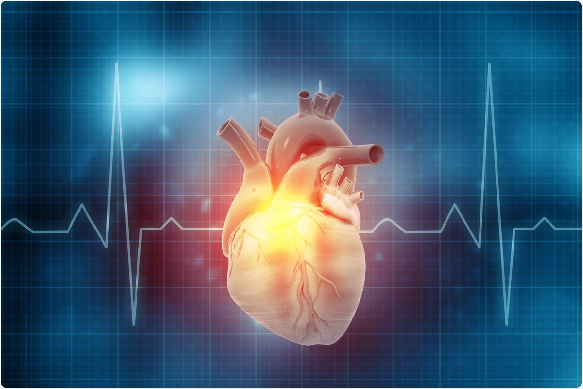 Study: Safe in my heart: resting heart rate variability longitudinally predicts emotion regulation, worry and sense of safeness during COVID-19 lockdown. Image Credit: Explode / Shutterstock