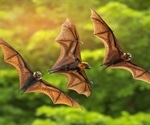 Risk of SARS-CoV-2 spread to bats