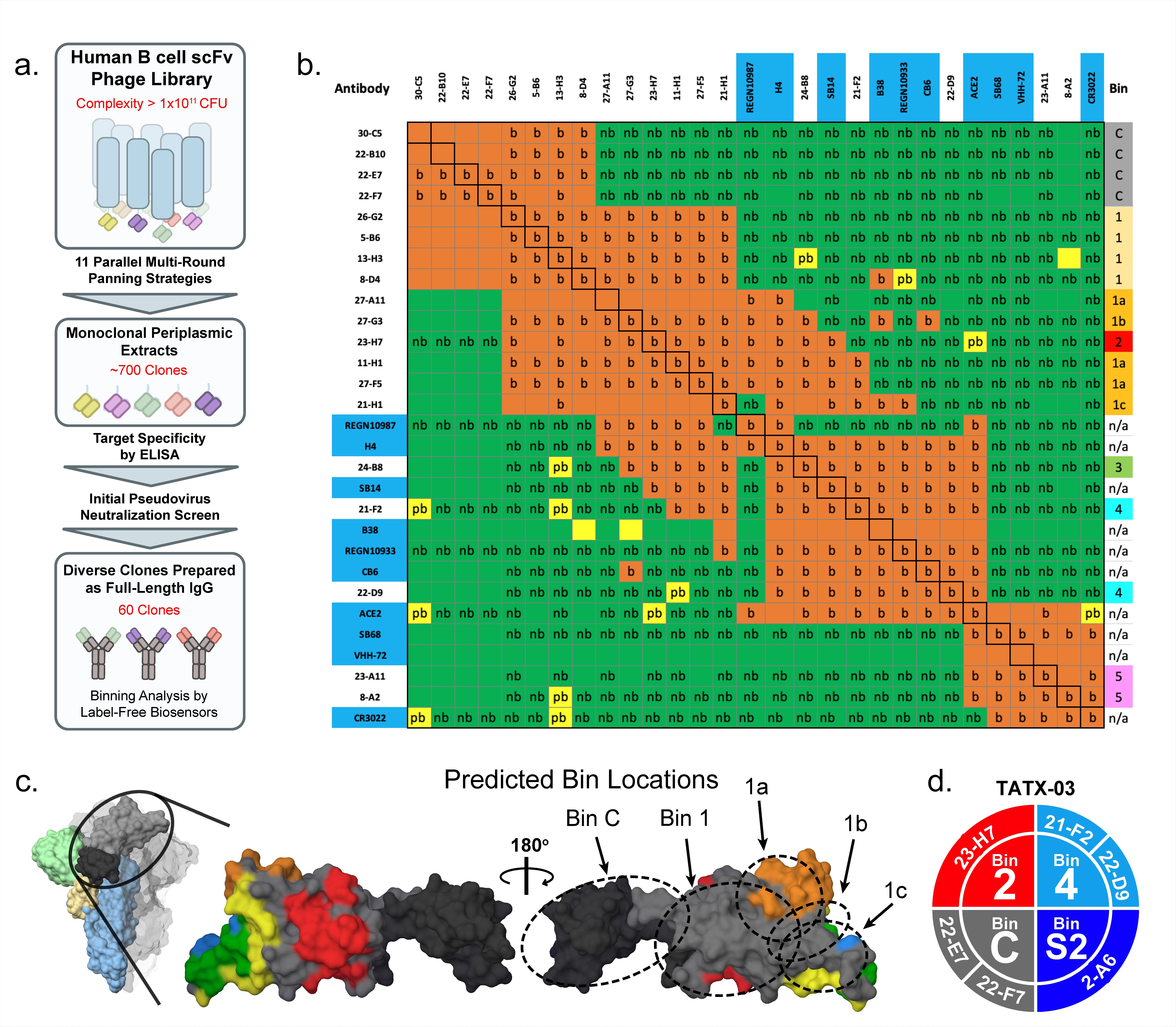 IPA’s library-to-leads triage process. (a) High-level schematic of the workflow. (b) Heat map for a pairwise analysis of 19 library-derived anti-SARS-CoV-2 S1-specific Abs merged with a panel of ten structural benchmarks (9 literature Abs and ACE2). The red, yellow, and green colored cells indicate Ab pairs that are blocked (b), partially blocked (pb), or not blocked (nb), respectively. Colored cells with a designation of “b, pb, or nb” were measured empirically, whereas those without a designation are “inferred”. The black boxed cells along the diagonal indicate the “self blocked” pairs. In our bin-definition, bin-members block one another and show similar blocking behaviors when tested against other Abs in the panel. RBD-specific clones were assigned to five bins (1-5). RBD binders that did not block ACE2 were assigned bin “1”, which was split into sub bins (bin 1a, 1b, and 1c) based on their nuanced blockade towards the structural benchmarks