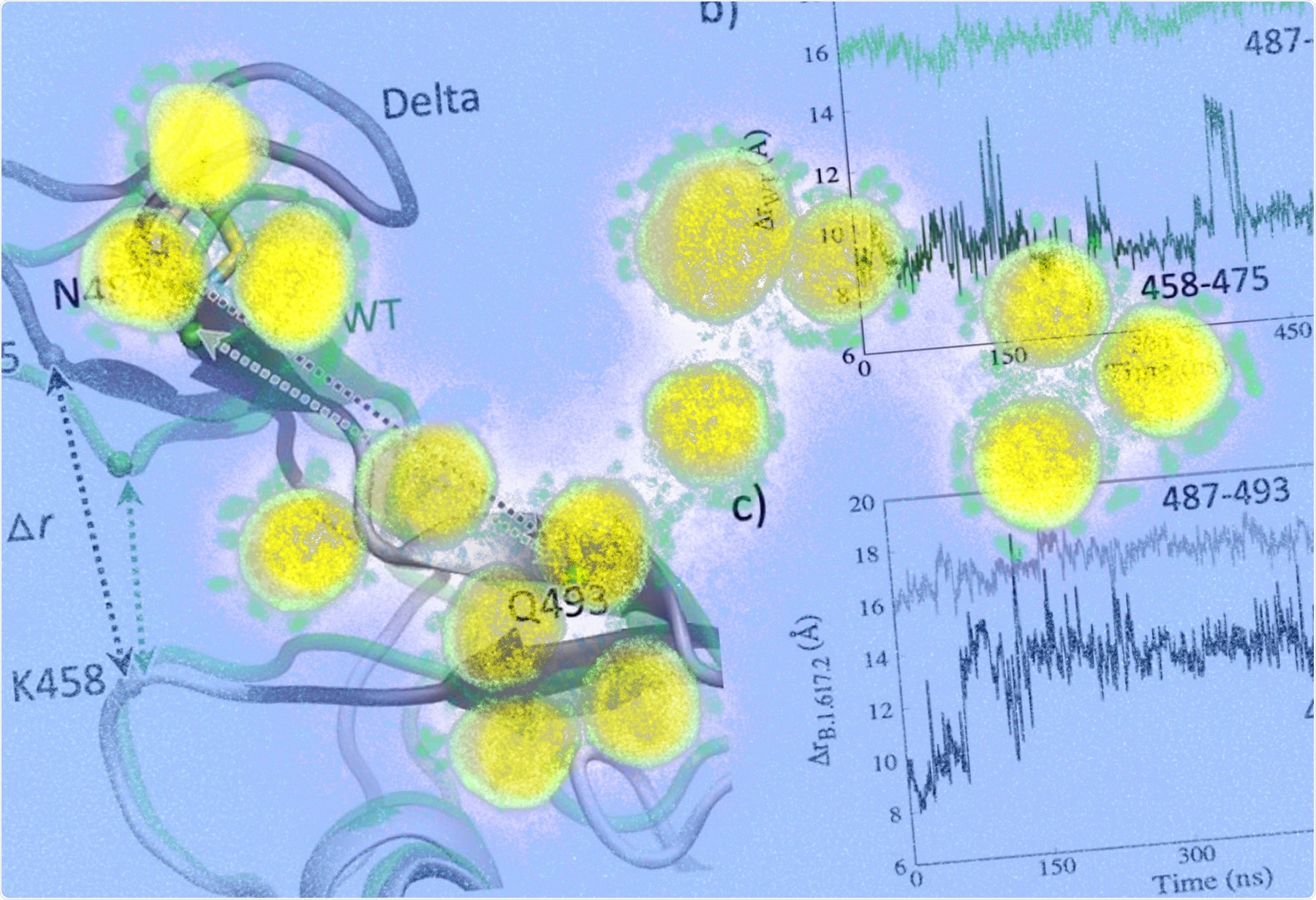 Study: Mutation-induced Changes in the Receptor-binding Interface of the SARS-CoV-2 Delta Variant B.1.617.2 and Implications for Immune Evasion. Image Credit: NIAID