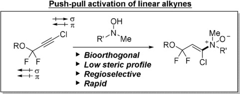 Researchers introduce novel type of click reaction for living cells and organisms