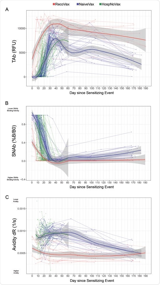 Dynamics of the anti-SARS-CoV-2 antibody response after vaccination or infection utilizing regression models. TAb (A), SNAb (B) levels and avidity (C) are displayed over time. A total of 686 data points were plotted from 19 RecoVax individuals (red), 49 NaïveVax individuals (blue) and 122 HospNoVax patients (green). All participants received the second dose 21 days after the 1st dose. The trend of antibody level overtime was described by applying Muggeo’s method of estimating regression models with unknown break-points to estimate the changing time points of the trends.
