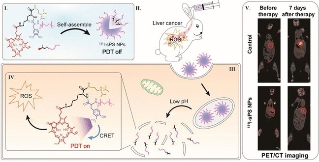 Researchers develop new photodynamic therapy for treatment of deep tumors