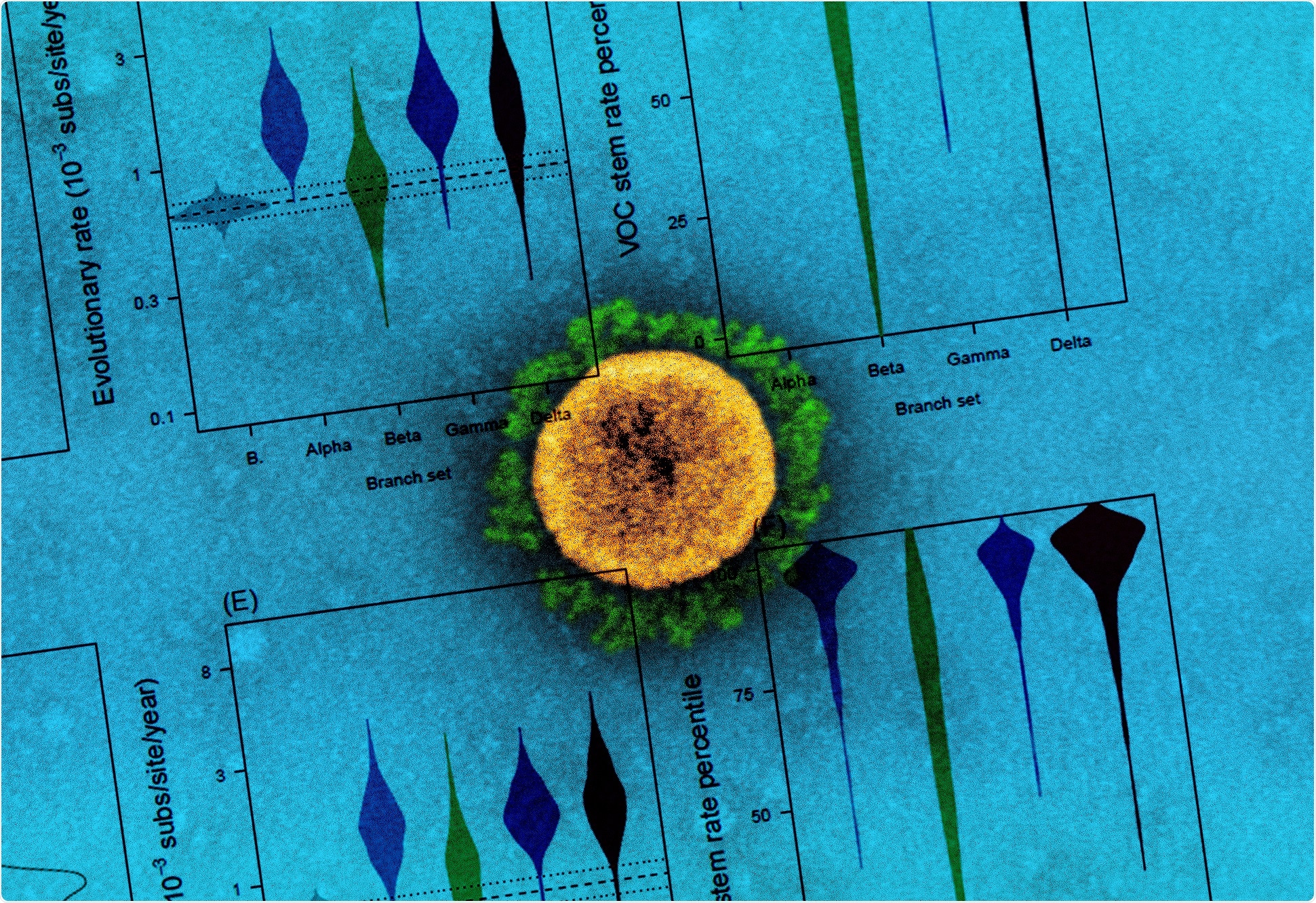Study: The emergence of SARS-CoV-2 variants of concern is driven by acceleration of the evolutionary rate. Image Credit: NIAID