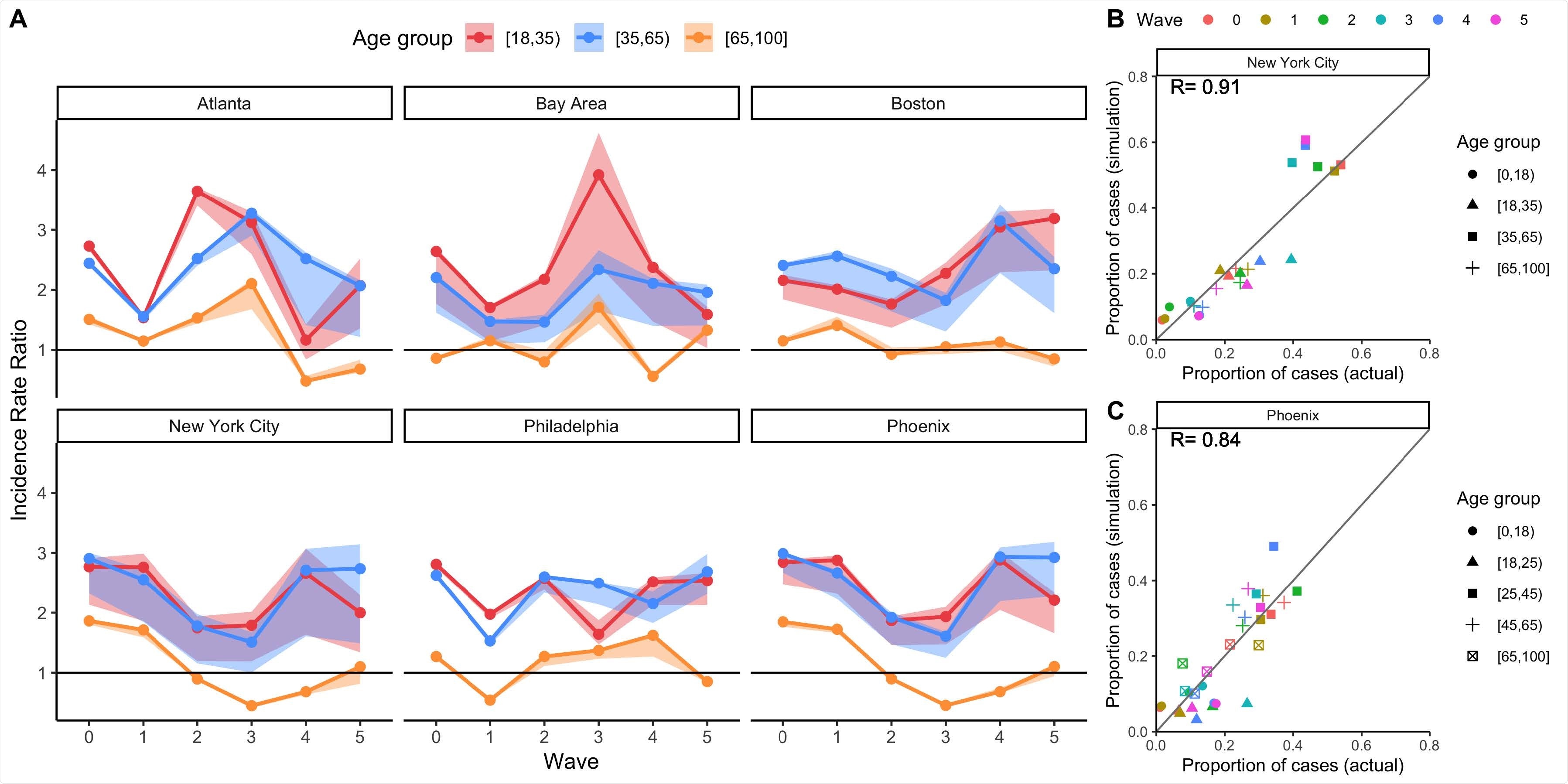 Mechanistic model results of total incidence for four age groups using BICS contact rate data, with comparisons to observed data where possible. A) Simulated incidence rate ratio (IRR) representing total incidence for each DMA and BICS survey wave comparing 18-34, 35-64, and 65+ year olds to the reference age group of 0-17 year olds. 90% uncertainty bounds are estimated from running 1,000 simulations with 1,000 different values of R0. The mathematical model is parameterized using empirical contact rate estimates from the BICS study. B) Scatterplot comparing the proportion of COVID-19 cases in each age group (represented by symbol shape) and survey wave (represented by symbol color) estimated in the simulation based on clinical incidence vs. reported in actual epidemiological data for New York City. The empirical data for New York City represent the proportion of positive COVID-19 molecular tests by age group for New York City. C) Scatterplot comparing the proportion of COVID-19 cases in each age group (represented by symbol shape) and survey wave (represented by symbol color) estimated in the simulation based on clinical incidence vs. reported in actual epidemiological data for Phoenix. The empirical data for Phoenix represent the proportion of confirmed and probable COVID-19 cases reported in Maricopa County.