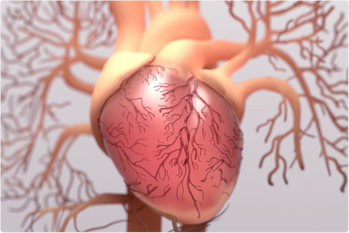 Study: Lack of evidence of significant homology of SARS-CoV-2 spike sequences to myocarditis-associated antigens. Image Credit: Design_Cells / Shutterstock.com