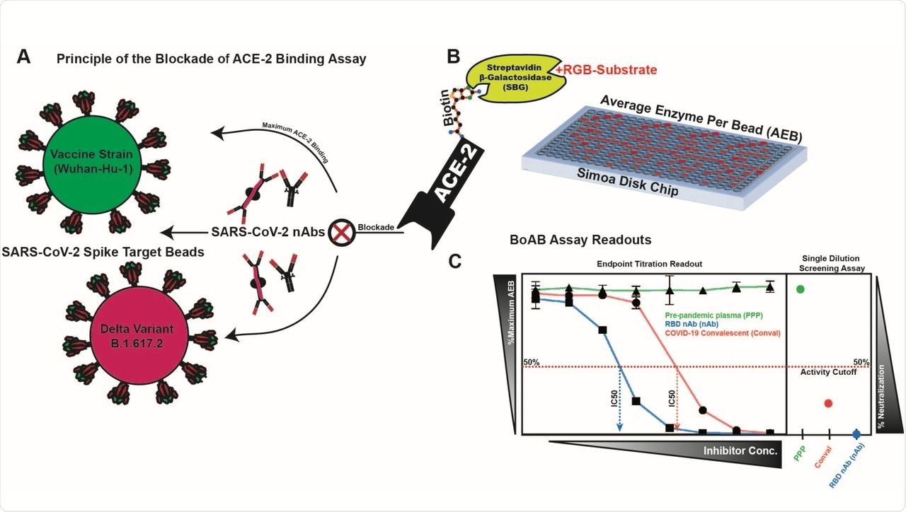 Blockade of ACE-2 Binding (BoAb) assay design.