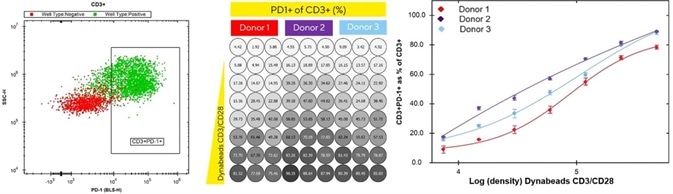 Pre-determined gates on iQue Forecyt® enable automatic phenotyping of exhausted T cell subsets.