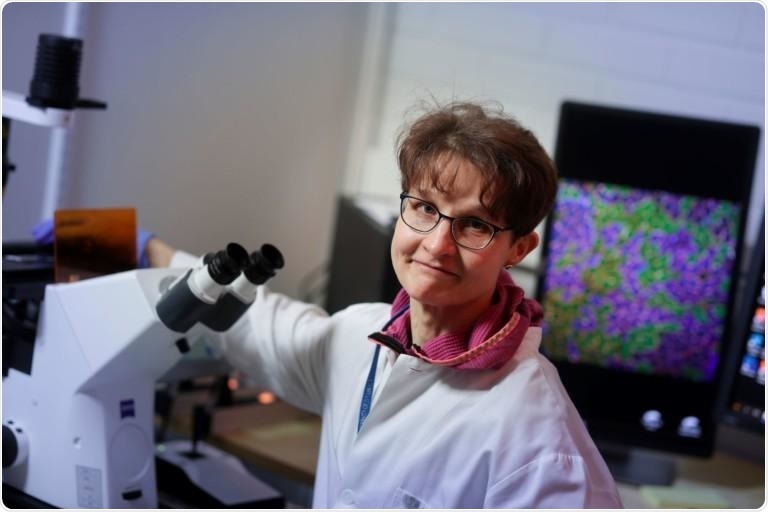 Exploring the vital connection between gut microbes, physical activity, and health