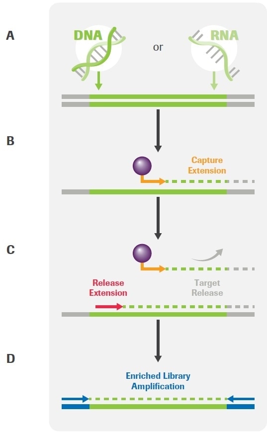 Improving cancer research with optimized targeted NGS workflows
