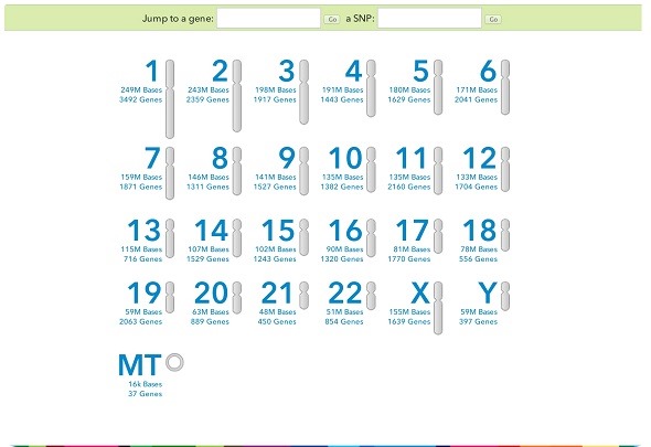 23andMe Genome Browser