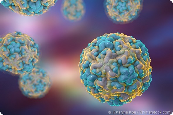 Background with viruses. Rhinovirus serotype 16. A virus causes common cold and rhinitis. A model is built using data of viral macromolecular structure from Protein Data Bank (PDB 1ND2)