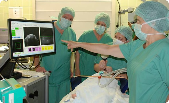 Bioptigen Handheld OCT