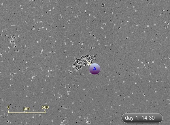 Label and track colonies