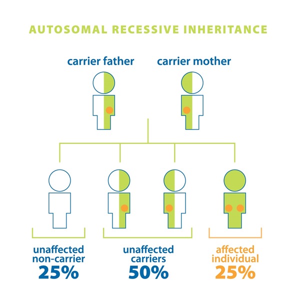 GSG_Autosomal_Chart (002)