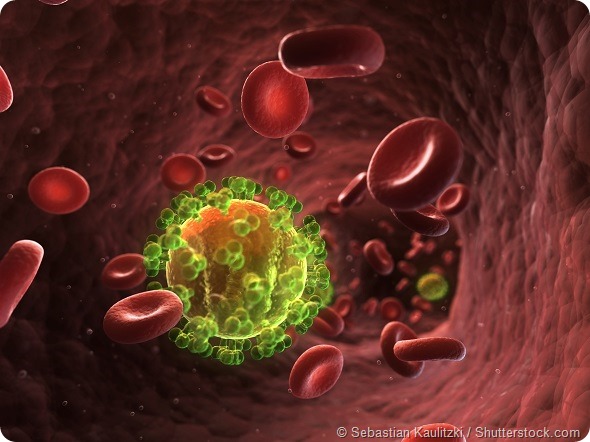 HIV in the bloodstream