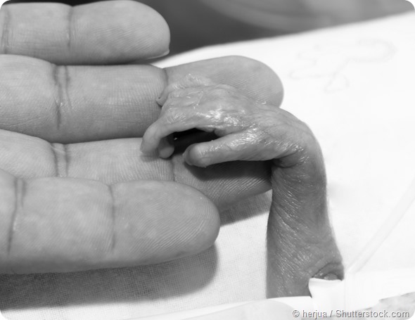 Portrait of newborn baby and hand inside incubator