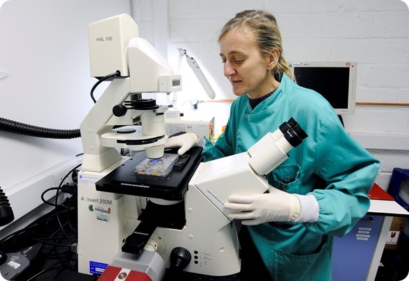 Scientist Immunocore lab Scientist Immunocore lab high res