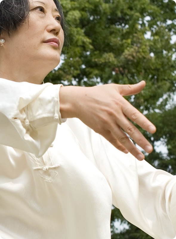 Tai-Chi large