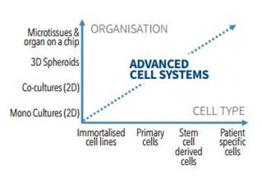 Researchers are combining more relevant cell types