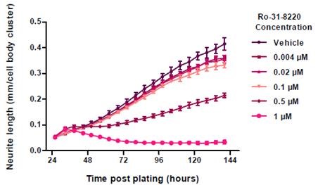 Neurite Length in response