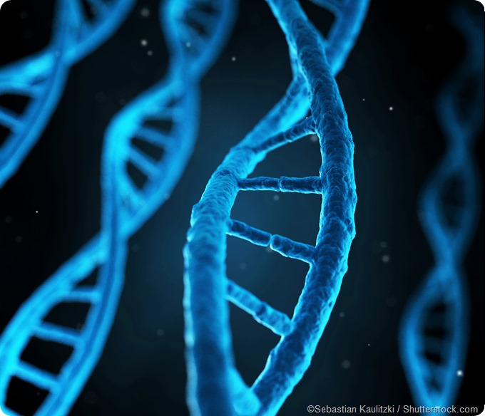 illustration human genes