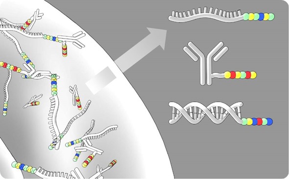 NanoString Technologies