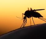 What Diseases Can You Get From Mosquitoes?