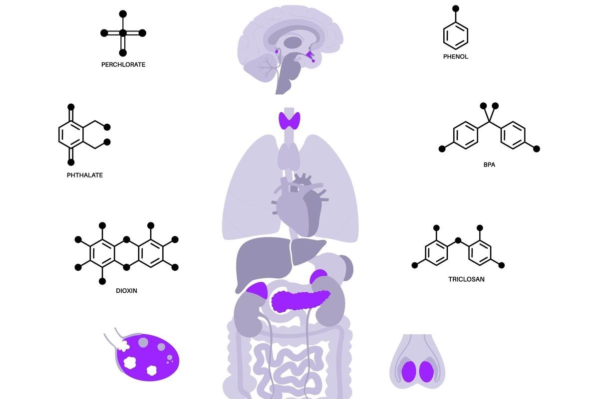 Image Credit: Pikovit/Shutterstock.com