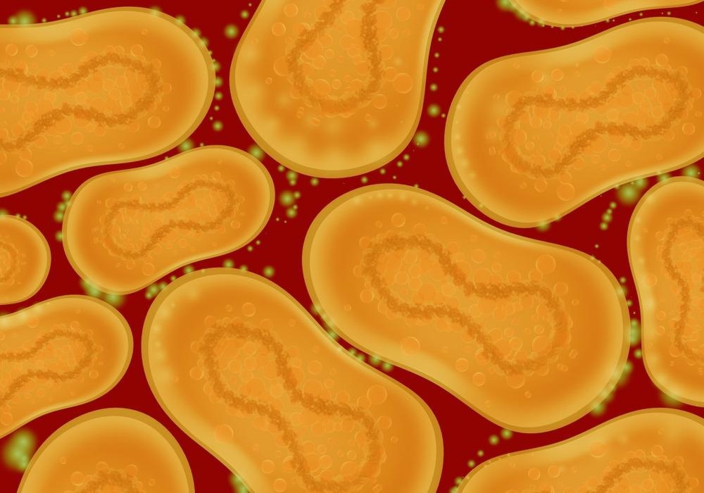 Image Credit: FOTOGRIN / Shutterstock.com